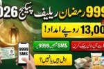 9999 Ramzan Relief Package CNIC Check – Step-by-Step Portal & SMS Method (2026 Update)