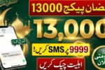 PM Ramzan Package 13000 Online Check by CNIC – 9999 SMS Method Explained