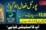 9999 Web Portal Ramzan Relief 2026 Rs 13,000 Status Check pmrrp.nitb.gov.pak
