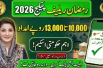 How to Solve Common Issues in Ramzan Relief Package 2026