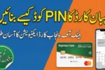 Nigehban Card PIN Generation Guide – Activate Your Bank of Punjab Card Easily