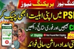 PSER Eligibility Check 2026 – Verify Your CNIC Online Today!